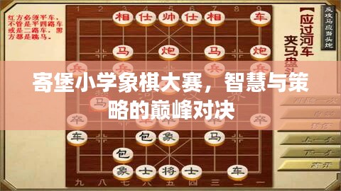 寄堡小學象棋大賽，智慧與策略的巔峰對決