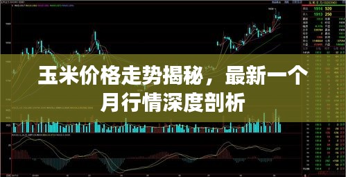 玉米價(jià)格走勢(shì)揭秘，最新一個(gè)月行情深度剖析