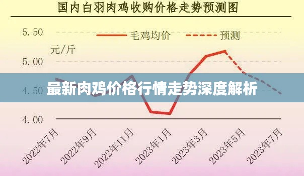 最新肉雞價格行情走勢深度解析