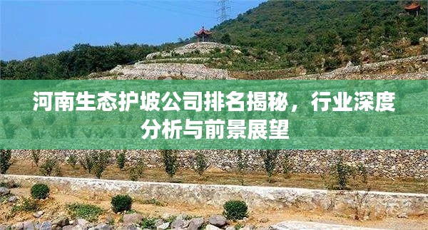 河南生態(tài)護(hù)坡公司排名揭秘，行業(yè)深度分析與前景展望