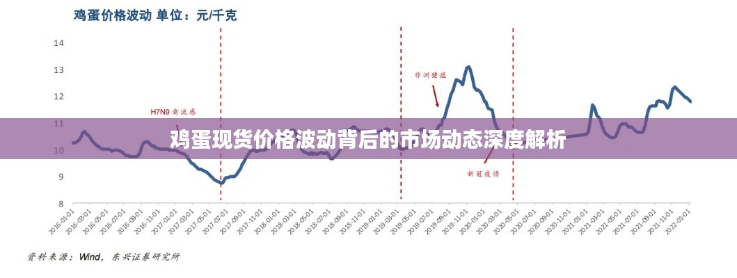 雞蛋現(xiàn)貨價格波動背后的市場動態(tài)深度解析